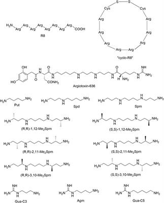 Inhibition of nicotinic acetylcholine receptors by oligoarginine peptides and polyamine-related compounds
